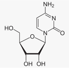 Cytidine is a